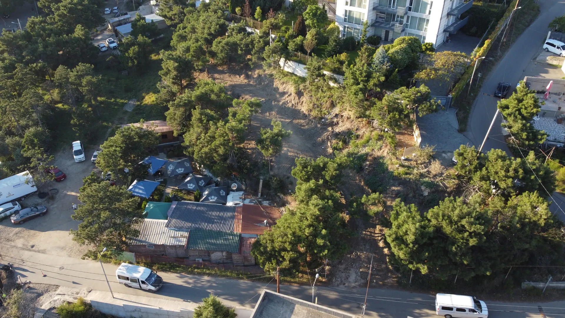 Overhead drone photograph of the cleared Lisi Lake plot among pine trees and neighbouring houses — current condition, September 2026